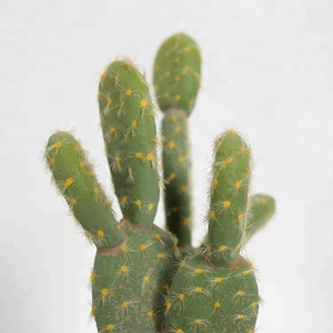 Plante du désert en éponge, <span class=keywords><strong>cactus</strong></span> artificiel en plastique fait à la main, Opuntia, décoration de meubles, <span class=keywords><strong>cactus</strong></span> décoratif de 23 cm - Product Image 2