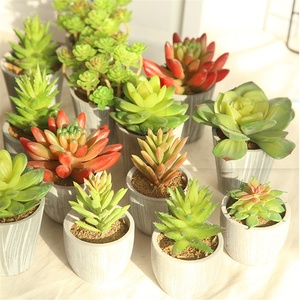 D1075 Mini Pianta Artificiale in Vaso Succulenta all'Ingrosso - Product Image 3