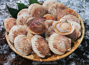 نكهة الفورية المعكرونة المأكولات كريب وصفة مسحوق - Product Image 5