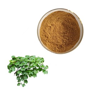 ヘデラコサイドアイビー抽出物ヘデラゲニン98% HPLC - Product Image 4