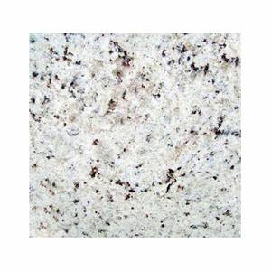 Rose naturelle, <span class=keywords><strong>blanc</strong></span> ivoire, granit <span class=keywords><strong>blanc</strong></span>, avec points noirs - Product Image 2