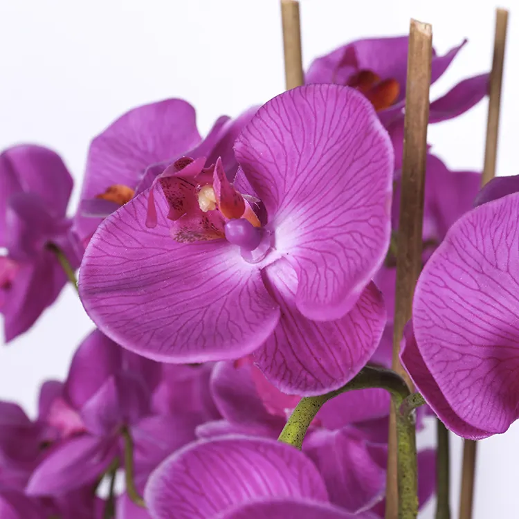 Nouvelles fleurs artificielles orchidées papillon en plastique, toucher réaliste, orchidée papillon, décoration de fête de mariage, de Festival, d'hôtel