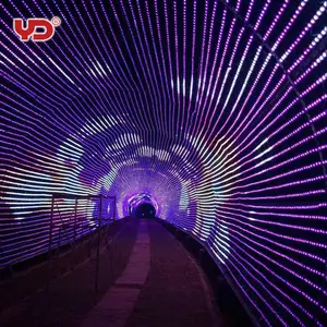 2018防水装飾ランニングDMX LEDピクセルライト新年