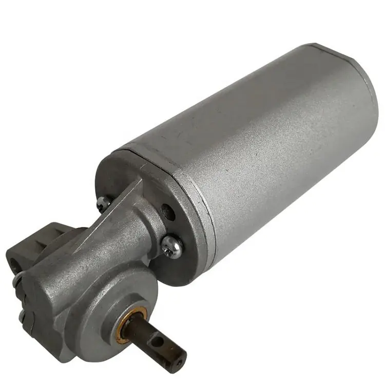 45ZY-WJ22 15W alto torque DC Worm voltado 12V motor com CE