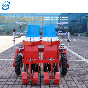ปลูก<span class=keywords><strong>ต้น</strong></span><span class=keywords><strong>กล้า</strong></span>กะหล่ำปลีมันเทศปลูกผักขาย - Product Image 3