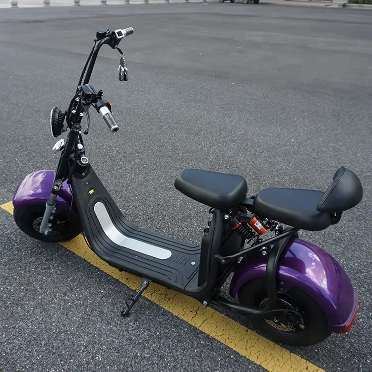 New cheap citycoco cheap electric scooter motorcycle for adults two fat tire citycoco electrical systems