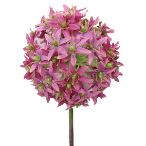 8 pouces de diamètre. Fleurs artificielles géantes d'<span class=keywords><strong>allium</strong></span> pour centre de table de jardin - Product Image 3