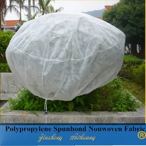 30g PP spunbond non woven fabric for plant covers