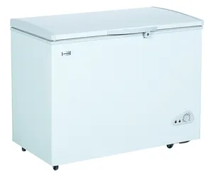 BD-288 Gas Freezer Di 288 CE, CB, RoHS Saso