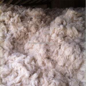 Poils <span class=keywords><strong>de</strong></span> chèvre coupés en <span class=keywords><strong>laine</strong></span> <span class=keywords><strong>de</strong></span> chèvre, bouclée, hiver - Product Image 2