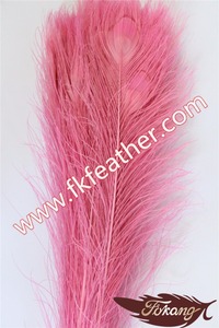 Natural al por mayor Pluma <span class=keywords><strong>de</strong></span> <span class=keywords><strong>Pavo</strong></span> Real Plumas <span class=keywords><strong>de</strong></span> La <span class=keywords><strong>Cola</strong></span> Del Ojo Para Proyectos <span class=keywords><strong>de</strong></span> BRICOLAJE - Product Image 1