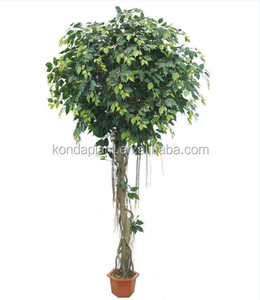 Macetas de plantas de hoja perenne árbol de ficus Artificial para la venta artificial al aire libre - Product Image 4
