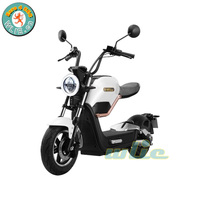 Moto électrique Miku MAX, 800W, certifié Euro 4, ec COC