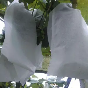 Anti-UV treatment pp spunbond nonwoven fabric fruit cover/fruit bags