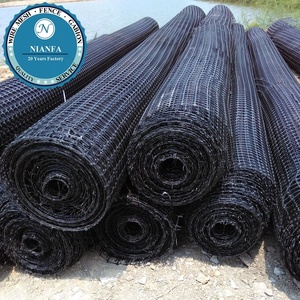 Quảng Châu nhà máy nóng bán đường sử dụng hai trục geogrid - Product Image 3