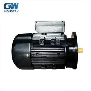 Двигатель индукционный GW с высоким крутящим моментом и низким оборотом в минуту, 1 кВт, переменный ток 110 В, 220 В