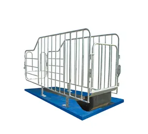 Sow limited crate/ Gestation/stall/pen(Crate-C)