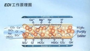 Traitement de l'eau EDI Électrodéionisation Système chimique d'eau ultra pure - Product Image 6