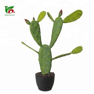 Châu Phi Phong Cách Sa Mạc 46Cm Cây Xương Rồng Giá Cây Xương Rồng Cây Xương Rồng Trang Trí Trong Nhà - Product Image 5