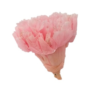 Crisantemos Preservados de 4-5 cm, Más de 20 Colores para el Día de la Madre, San Valentín, Graduación, Navidad, Año Nuevo - Product Image 2