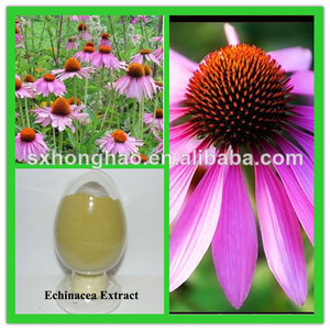 Estandarizados para nlt polifenoles 4% uv <span class=keywords><strong>echinacea</strong></span> purpurea hierba p. E - Product Image 1