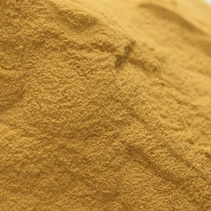 Bán Hot Natural Cao Tinh Khiết Hữu Cơ Astragalus Membranaceus Chiết Xuất - Product Image 3