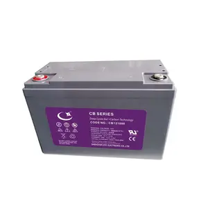 铅碳电池 12V100AH 用于太阳能存储