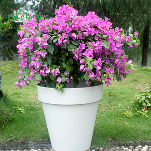 Leizisure Pots de fleurs en <span class=keywords><strong>plastique</strong></span> bon marché, support de pot de fleurs de jardin, décoration de mariage, <span class=keywords><strong>vase</strong></span> haut pour l'extérieur - Product Image 5
