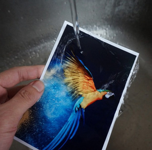 180g 260g 300gsm Wholesale Distributor <strong>A4</strong> Size Glossy Photo Album <strong>Paper</strong> Inkjet <strong>Printer</strong> - Product Image 5