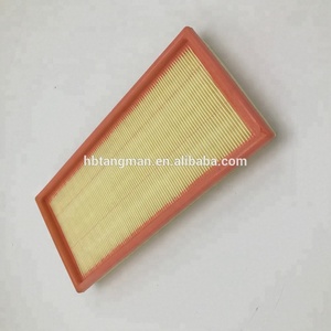 Filtro Aria PW811941 per Proton da Produttore Professionale - Product Image 2