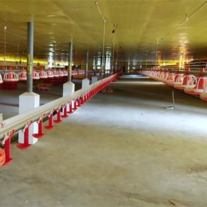 Kippenboerderij Staalconstructie Prijs Twee Verdiepingen Voor Kippenhok Pluimveebedrijf - Product Image 2