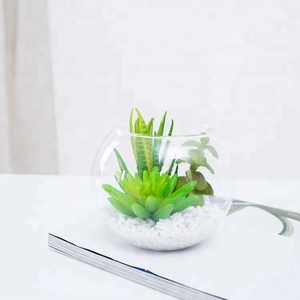 Fausses plantes succulentes artificielles de petite taille, nouveau design, en verre, pot de fleurs pour la décoration, - Product Image 5