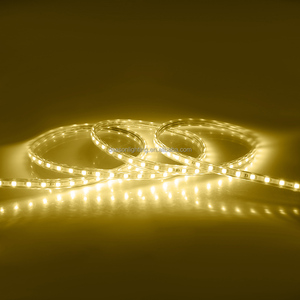 AC110v 220v Outdoor Decoration <strong>Rgb</strong> 5050 Waterproof <strong>Led</strong> <strong>Strip</strong> Light