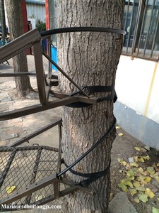 狩猟用具、スチールディアハンティングツリースタンド - Product Image 3