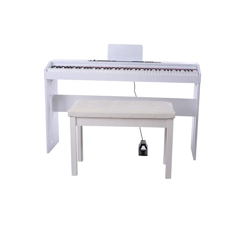 KD-8815 Kerid digital piano with standard keyboard