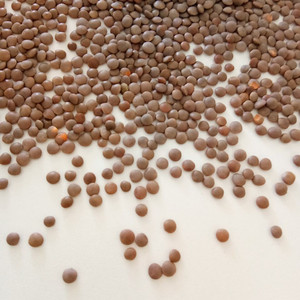 Chất lượng cao số lượng lớn khô toàn Bộ chia Đậu lăng Đậu lăng đỏ Đậu lăng xanh - Product Image 6