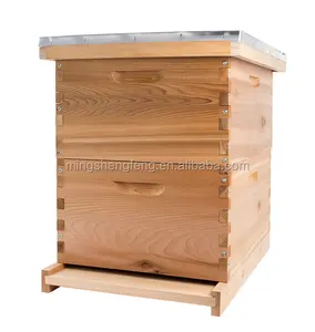 Çam köknar ahşap Langstroth boyutu arı kovanı kutuları