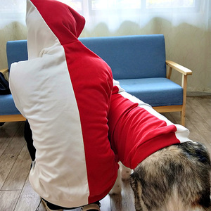 Kişiselleştirilmiş moda serin stil köpek ve sahibi uyumlu hoodies evcil hayvan ve sahibi baba anne eşleştirme hoodie 2023 yeni tasarım - Product Image 4