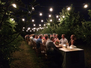 Vintage Led Garland with Bulb for <strong>Cafe</strong> <strong>Light</strong> <strong>String</strong> and Patio <strong>String</strong> <strong>Lights</strong> - Product Image 5