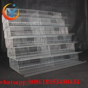 Fabbrica Diretta A Basso Prezzo Strati Gabbie di <span class=keywords><strong>Quaglia</strong></span> uova di <span class=keywords><strong>Quaglia</strong></span> Uccello Agricoltura Un tipo <span class=keywords><strong>per</strong></span> la vendita - Product Image 6