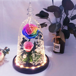 Rosas <span class=keywords><strong>de</strong></span> <span class=keywords><strong>La</strong></span> <span class=keywords><strong>Bella</strong></span> <span class=keywords><strong>y</strong></span> <span class=keywords><strong>La</strong></span> <span class=keywords><strong>Bestia</strong></span> infinito rosas eternas rosas preservadas en <span class=keywords><strong>la</strong></span> aguja <span class=keywords><strong>de</strong></span> cristal - Product Image 6
