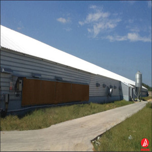 Good Sale <strong>Quail</strong> <strong>Cage</strong> Layer Egg Chicken <strong>Cage</strong> / <strong>Broiler</strong> Poultry Farm House <strong>Design</strong>