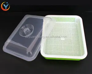 홈 플라스틱 콩 콩나물 기계 상자