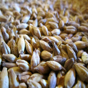 Alta calidad GMP Natural Kosher extracto líquido de <span class=keywords><strong>Malta</strong></span> - Product Image 6