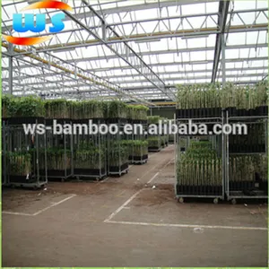 Decorazione del giardino di bambù canne 105 centimetri 12-14 millimetri