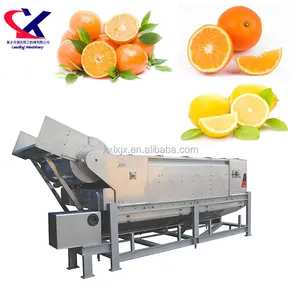 Professionelle Orange Öl Extraktion Maschine 300 kg/std, Orange Peel Öl Fräsen Maschine