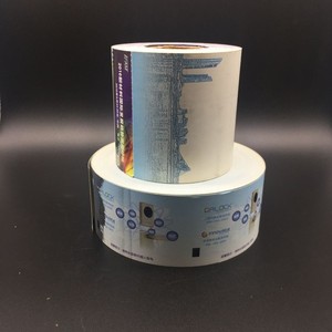 Biglietto termico Fanfold con banda magnetica Lo-Co biglietto in carta termica CR80