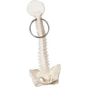ロゴプリントの脊椎と骨盤の骨のキーリング