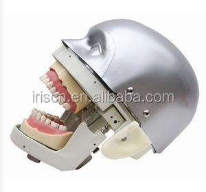 NISSIN maniquíes y modelos Dentales/Fantasma Cabeza Dentales para clases de enseñanza y aprendizaje en dental - Product Image 4