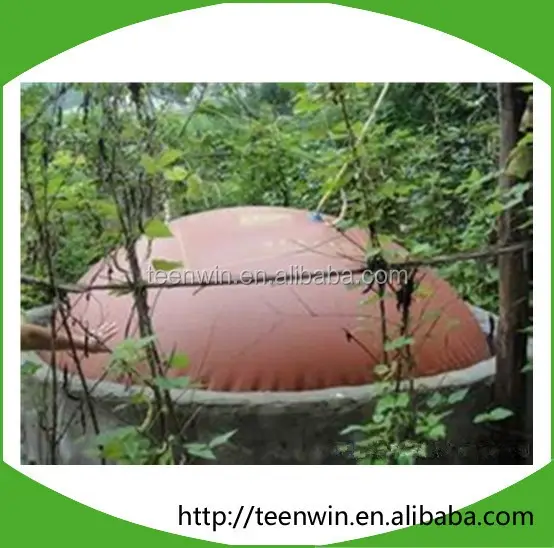 BRICOLAGE mini digesteur de biogaz de déchets alimentaires/usine pour l'usage à la maison